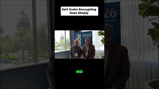 Stop Data Breaches With Salt Grain That Makes Encryption EASY!