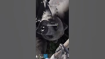 rust console newgen funny animal bug #rustconsoleedition #meme #funny #fypシ #rustclips