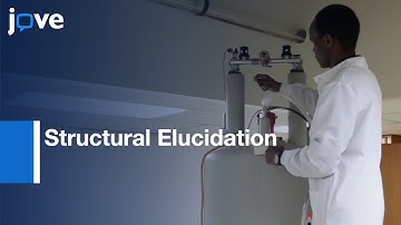 Structural Elucidation by Polarization Solid-State NMR | Protocol Preview