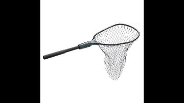 look at this net