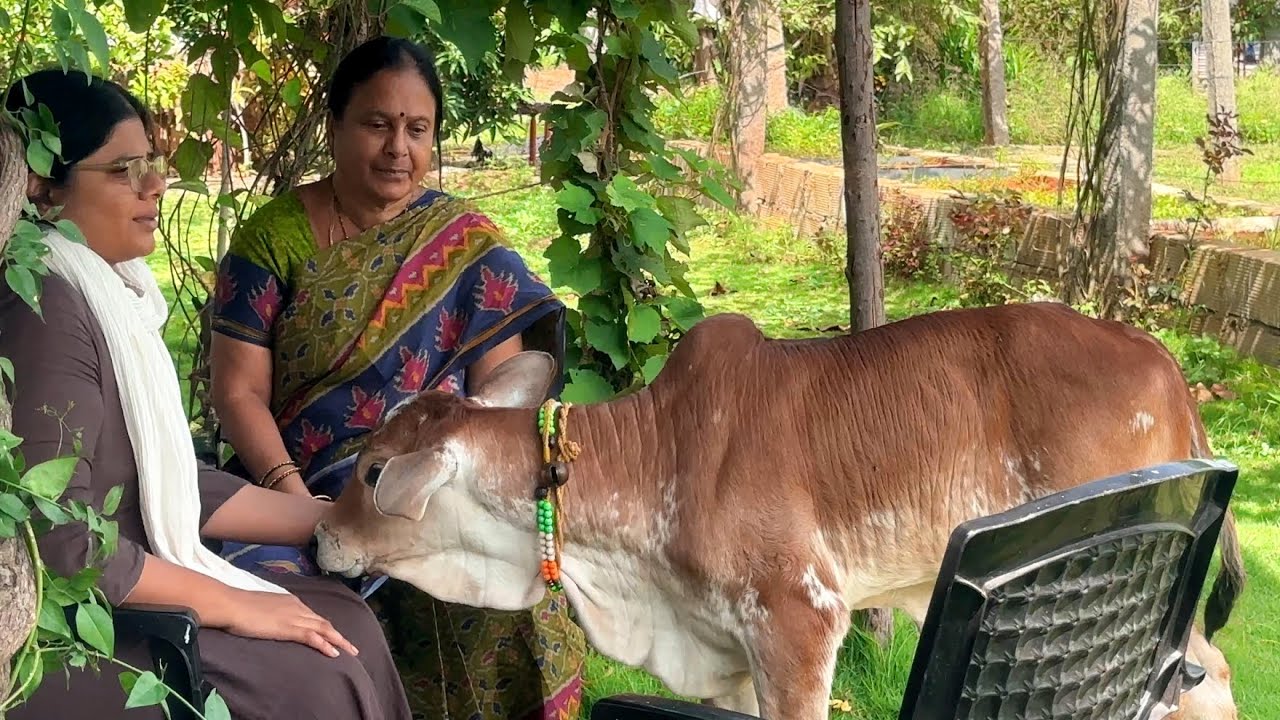 ప్రకృతి జీవనం🌴🌳|తోటలో పండ్ల మొక్కలు నాటాము|B Like Bindu