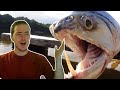 Fish Biologist reacts to "Dangerous Amazon River Monsters"