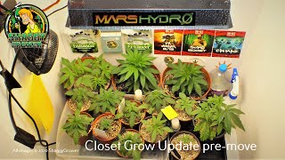 Closet Cannabis Grow pre-Cannavan move. BloodHaze, BloodRoses, BloodRhino and BloodX cultivars.