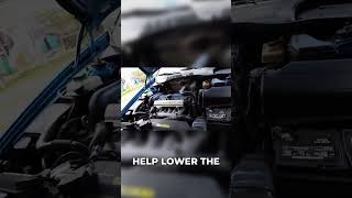 Volvo P80 Performance: Remove This Panel for Cooler Air
