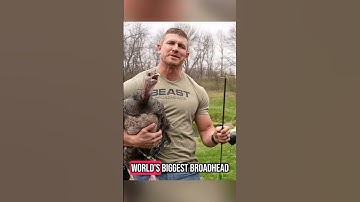 Worlds Biggest Broadhead Vs Pet Turkey  🤯 #archery #turkey #slowmotion #broadhead #beastbroadheads