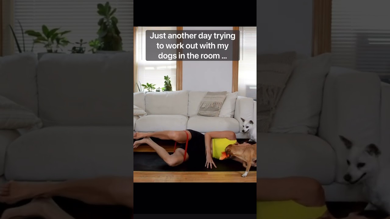 Clamshelling My Dog’s Head Mid-Workout 