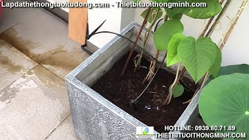 Hướng dẫn thiết kế lắp đặt hệ thống tướ nhỏ giọt cây cảnh, khay rau trên sân thượng ban công tphcm