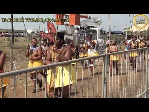 Zulu tribal dance umemulo Part 5