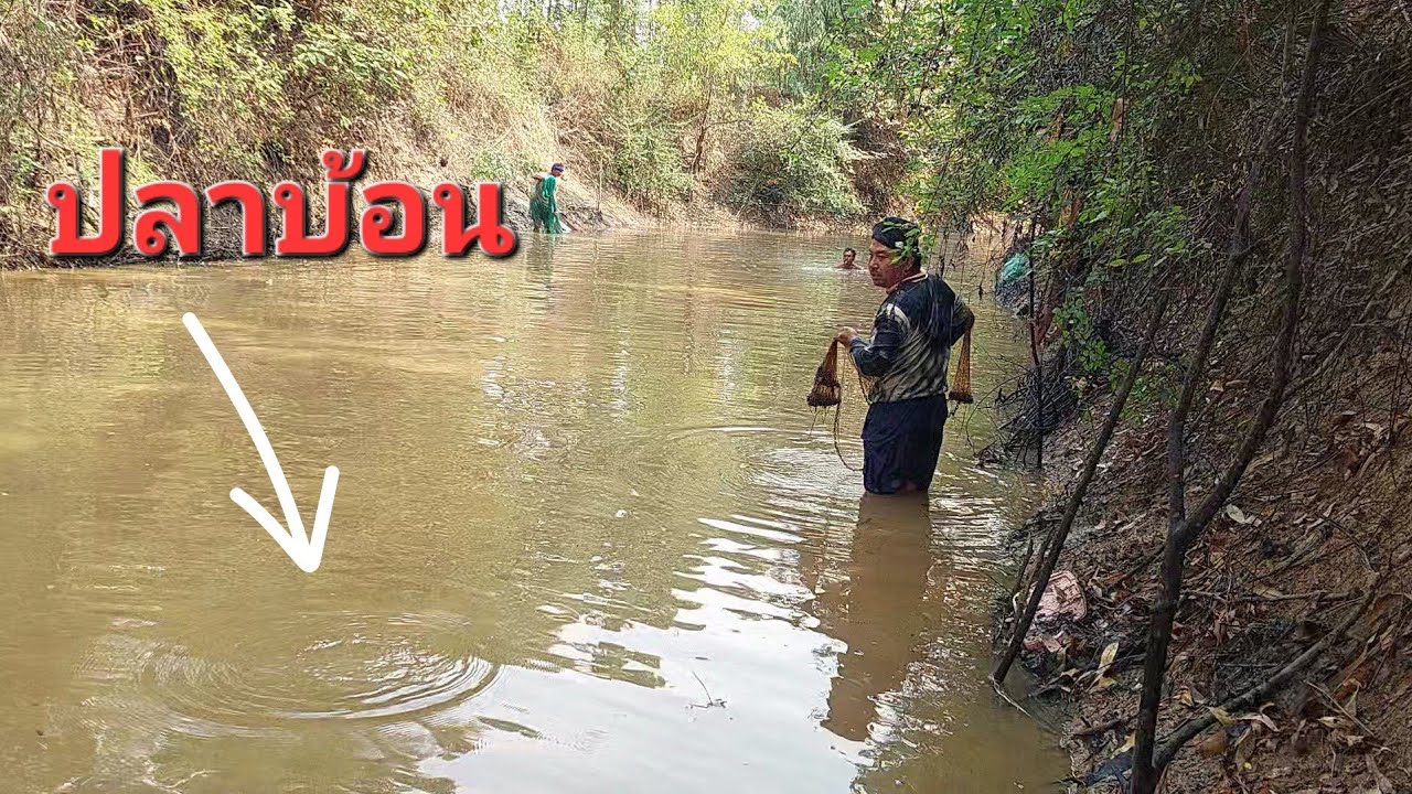 กัดดาง ตึกแห เจอดงปลิง หว่านแหหาปลา ปิ้งปลากินข้าวป่า กินแซบๆ - ตกปลา หาอยู่หากิน