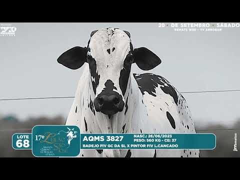 LOTE 68   AQMS 3827