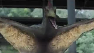 Juric World Raptors 2024 - Pteranodon Screen Time