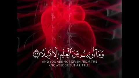 سورة الإسراء آية ﴿٨٥﴾ | رعد الكردي | حالات واتس | مقاطع انستقرام