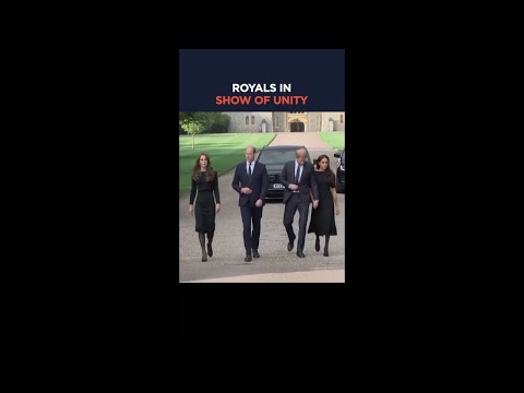 Prince Harry, Meghan, Prince William, and Kate in show of unity #shorts
