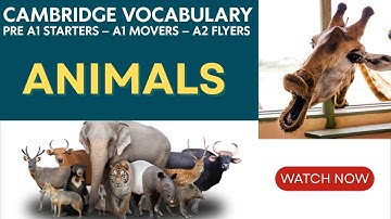 Animals. Cambridge Vocabulary: Pre A1 Starters – A1 Movers – A2 Flyers