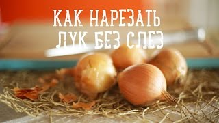 5 способов нарезать лук без слез [Рецепты Bon Appetit]