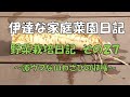 伊達な家庭菜園日記－野菜栽培日記その２７～激ウマな山わさびの収穫～