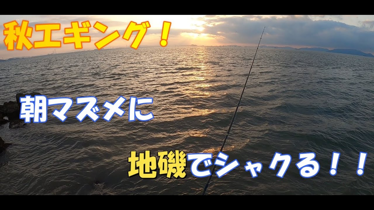 53 岡山県寄島の地磯 朝マズメエギング 地元の地磯でコウイカゲット Youtube