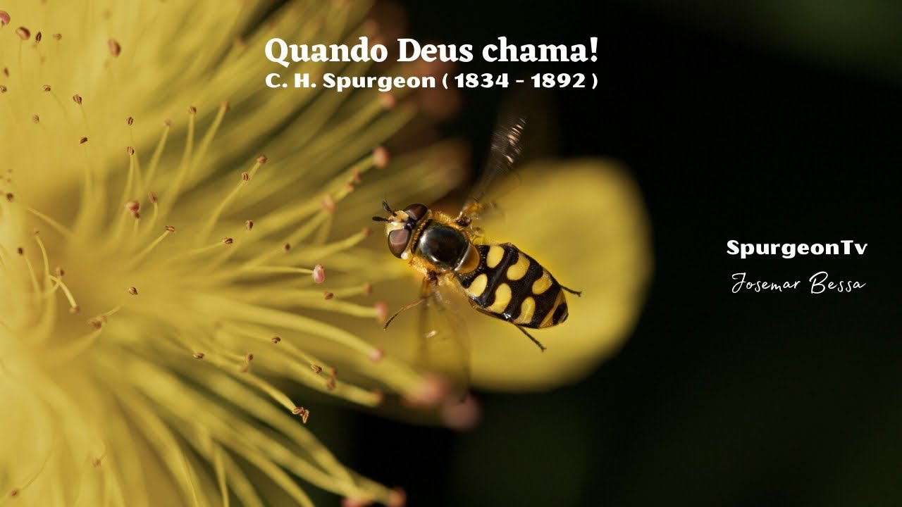 Quando Deus Chama | C. H. Spurgeon | Sermão 664