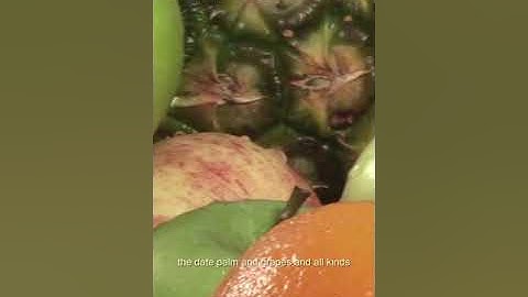 Reflections 16:10-11  تاملات في آيات سورة النحل آية ١٠-١١