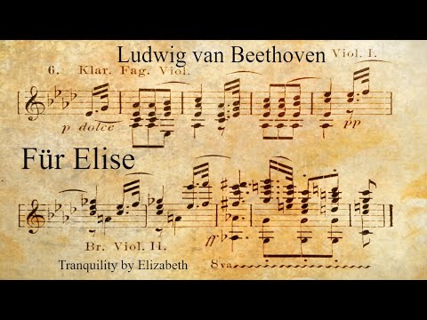 Video: Hvor Og Hvornår Blev Beethoven Født