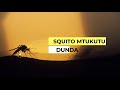 Dunda Squito Mtukutu Official Audio Dunda Squito Mtukutu Official Audio