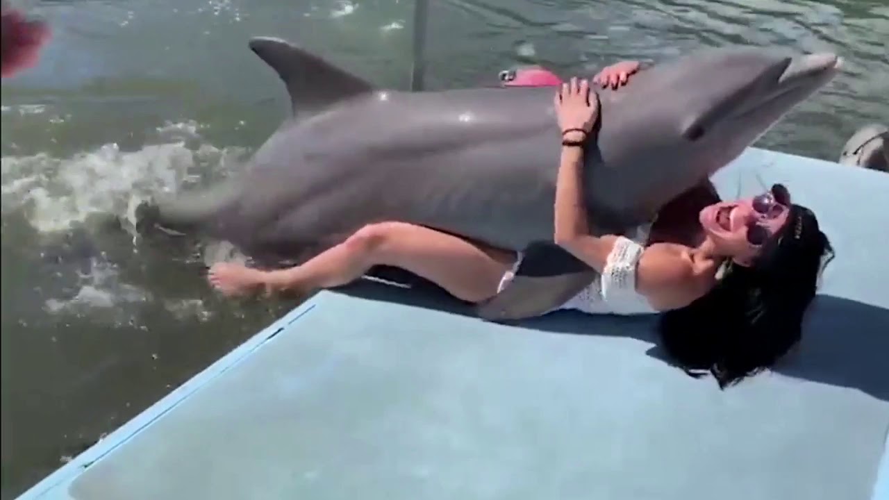 как дельфин трахает человека фото 81