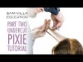 PART TWO - Pixie Haircut Tutorial - Cutting the Top