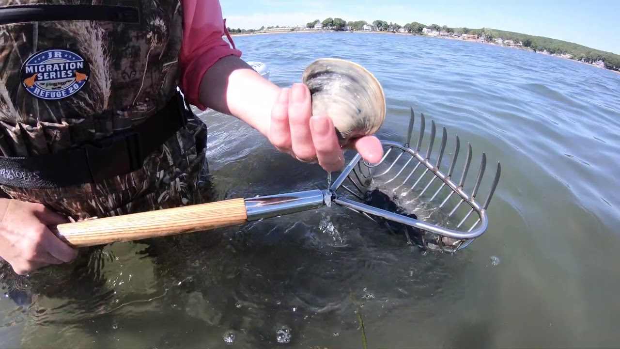 KB White Co Clamming Tools YouTube