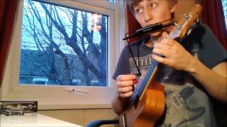 That's Life - Frank Sinatra cover on Ukulele and Harmonica chords