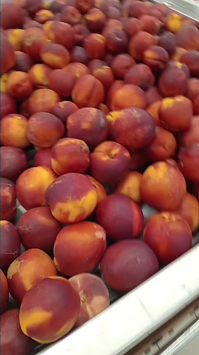 #Amazing fruits  ilove# with music  @lolibevlog
