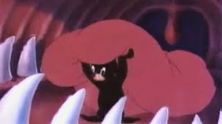 Inside A Sharks Mouth Gfb