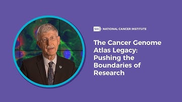 The Cancer Genome Atlas Legacy: Pushing the Boundaries of Research