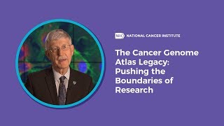 The Cancer Genome Atlas Legacy: Pushing the Boundaries of Research