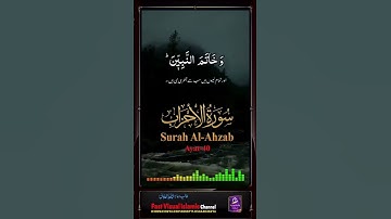Surah Al Ahzab ayat 40 سورة الأحزاب #tilawat #shotrs #alquran #viralvideo #islamicproductions