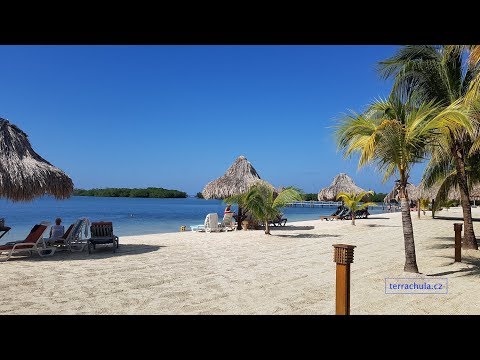 Video: Roatan na ostrovech zálivu v Hondurasu