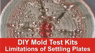 DIY Mold Test Kits - Limitations of Settling Plates