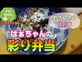 とある日のばあちゃんのお弁当作り。４K＃shorts