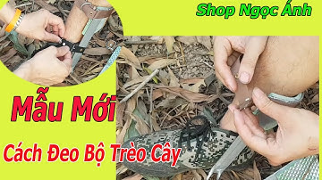 Hướng Dẫn Cách Đeo Bộ Trèo Cây Mẫu Mới, Giày Leo Cây 2020 An Toàn Hiệu Quả