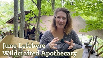 Authenticity at Wild Abundance in NC: DIY skills workshops for Adults: student experience and review