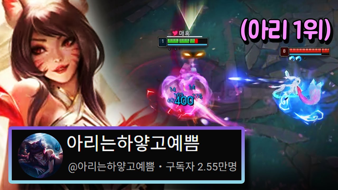 전세계 아리 1위, 하얗고 예쁨이 알려주는 아리의 모든 것【장인습득석 5편】