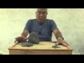 The Basics of the Zen Garden