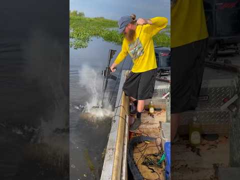 Video: Die besten Outdoor-Aktivitäten in Memphis