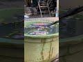 The pageing process by using the technique of dipping into water #blacksmith #gilding #handmade
