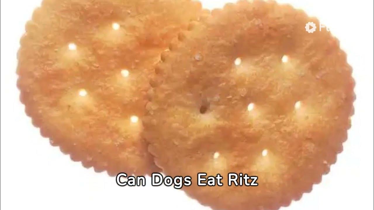 Can Dogs Eat Ritz Crackers? Risks, Benefits, and Safe Alternatives for Your Pet YouTube