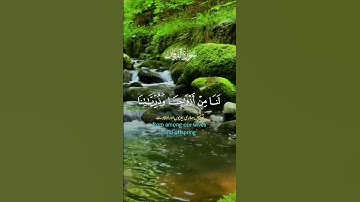 ماتيسر من سورة الفرقان تلاوة خاشعة 💚🌾