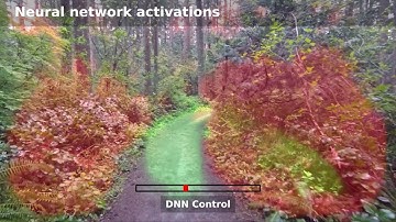 Autonomous Drone Navigation with Deep Learning. Flight over 250 meter Forest Trail