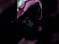 #ytshorts #gatinhaestrelinha #deustemumapalavrapravoce #shortsyoutube #cute