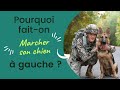 Pourquoi vous diton de faire marcher votre chien du ct gauche 