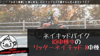今乗れる全てのリッターネイキッド8車種