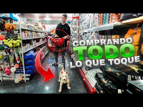 Video: Artículos para comprar para un nuevo cachorro